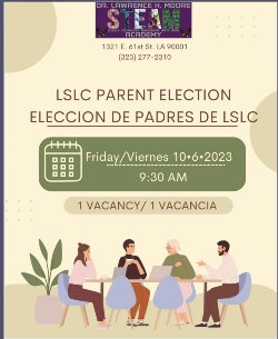 lslc voting flyer